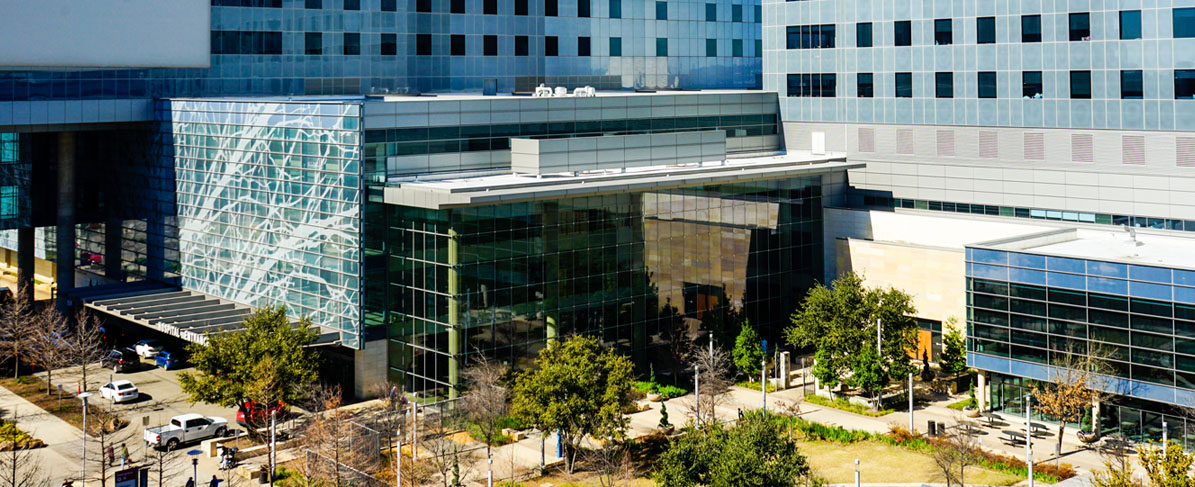 Greenery painted on glass building exterior.