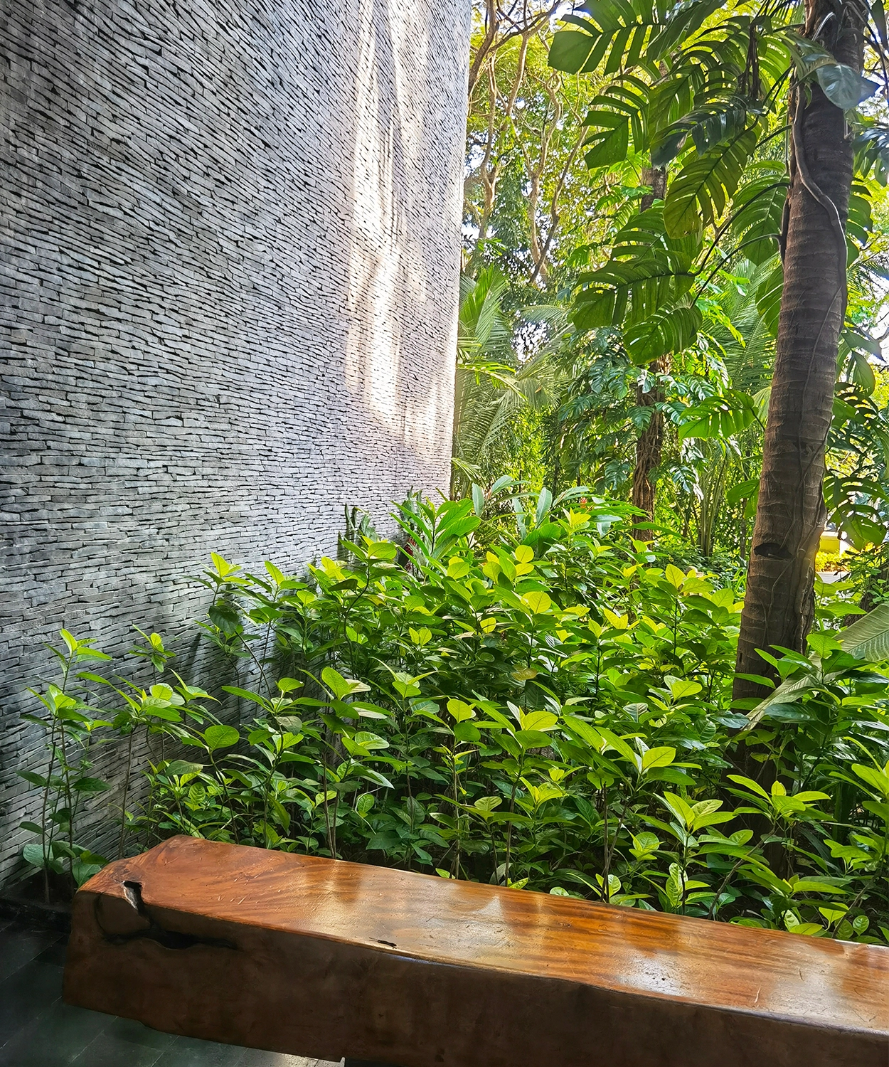Plants and bench in building entryway.