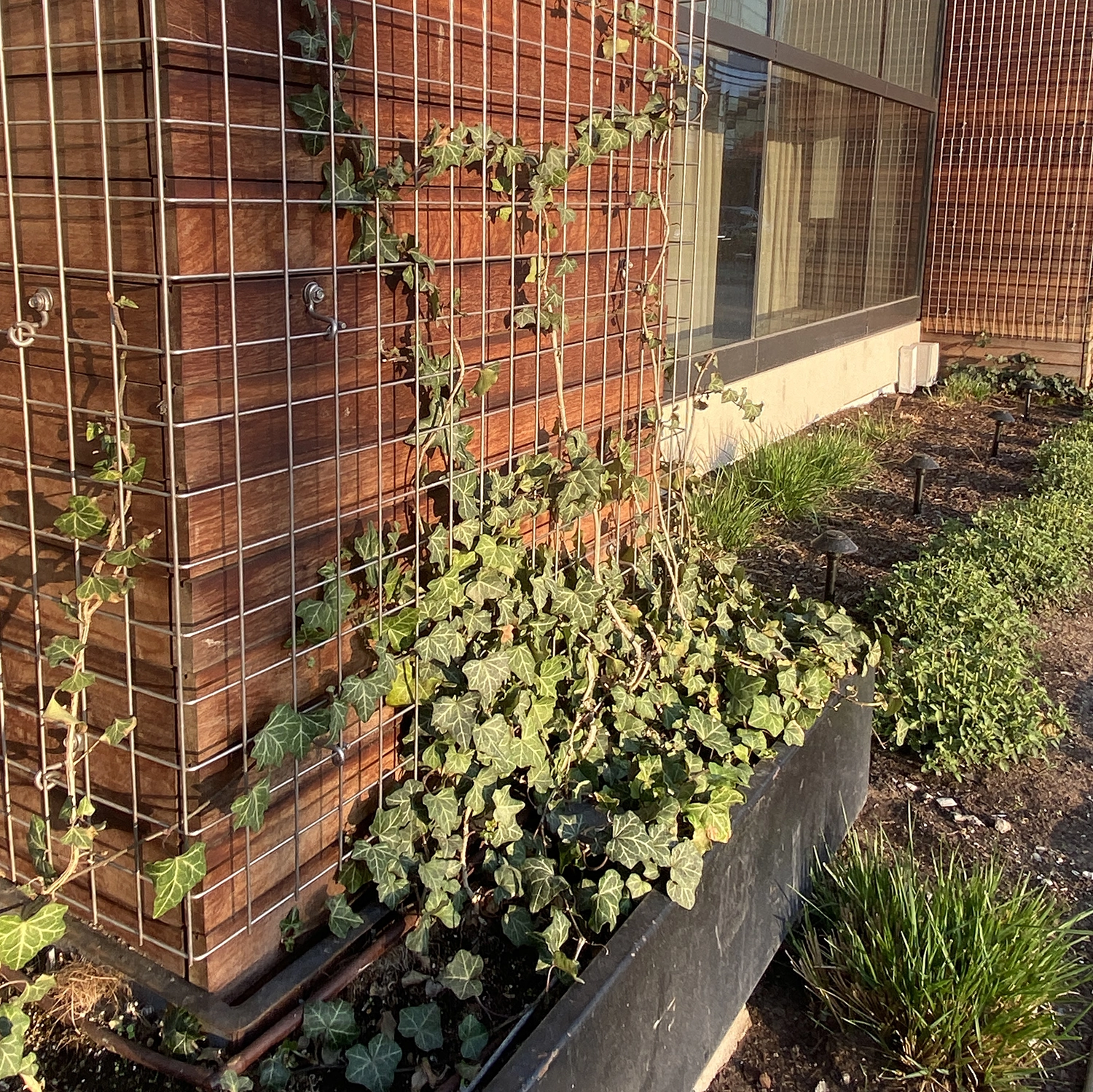 vegetation growing up building exterior