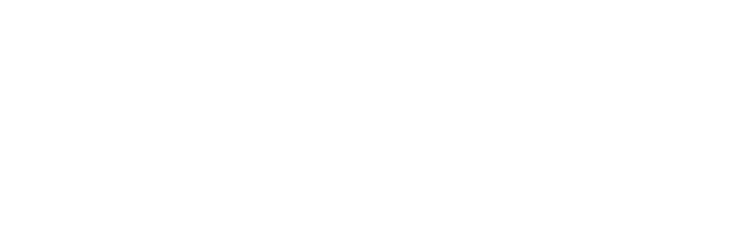 Modulite